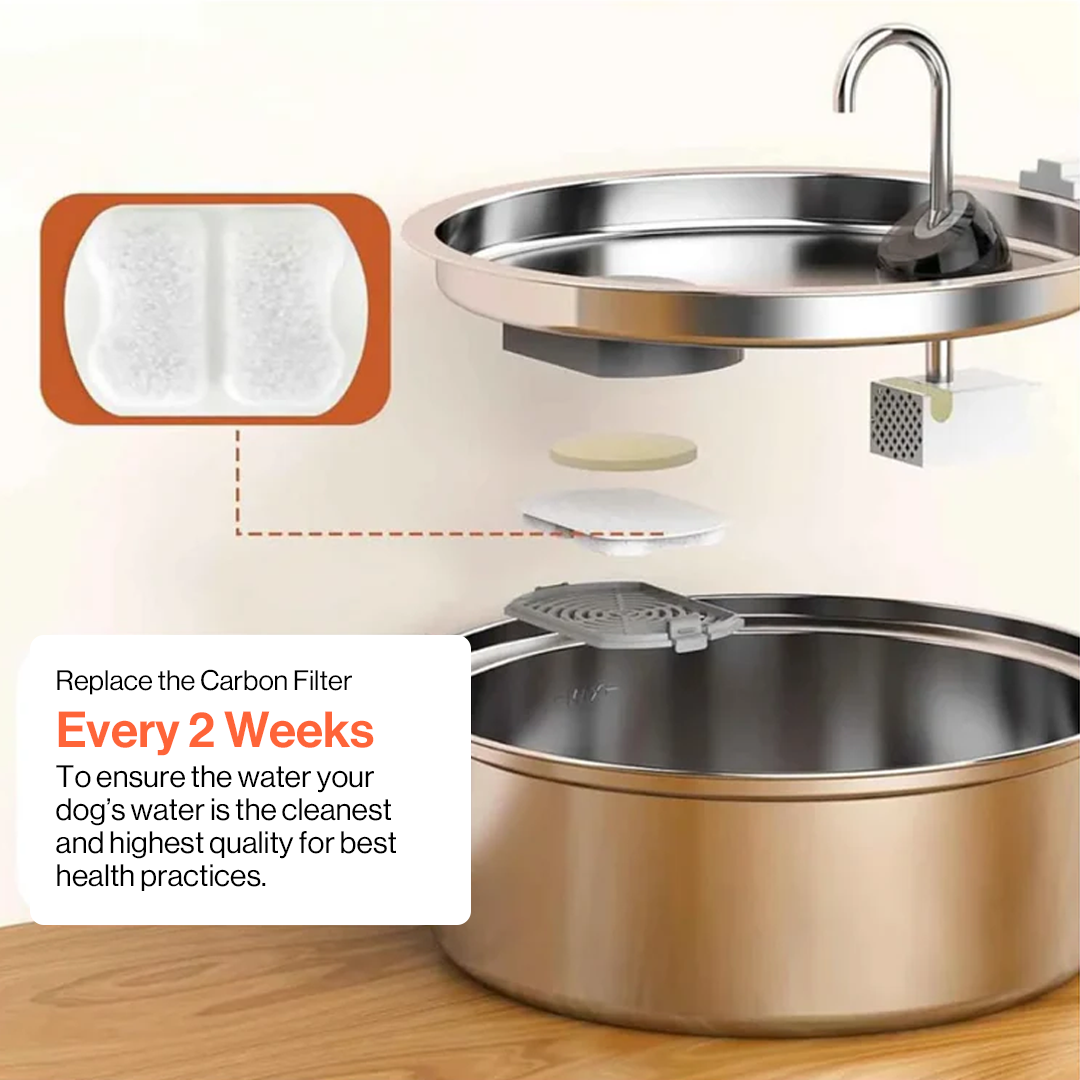 Hey Buddy Health and Wellness Fountain Kit