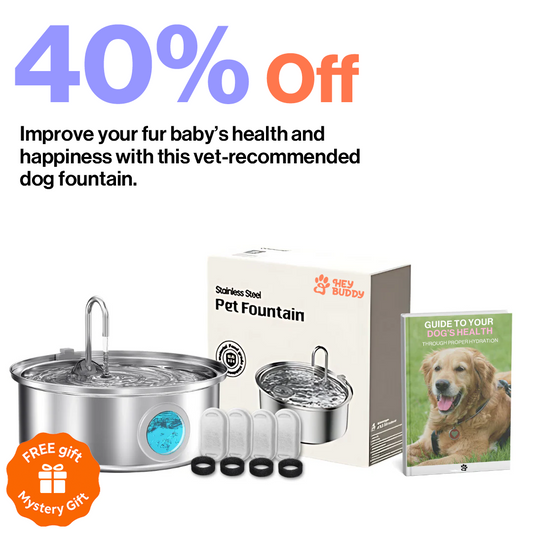 Hey Buddy Health and Wellness  Fountain Kit 7.0L