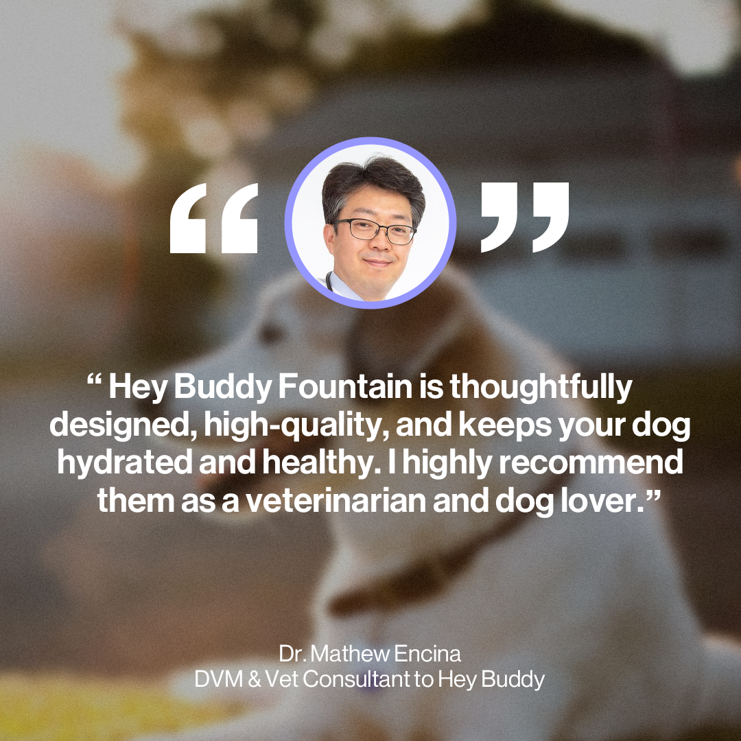 Hey Buddy Health and Wellness  Fountain Kit 7.0L