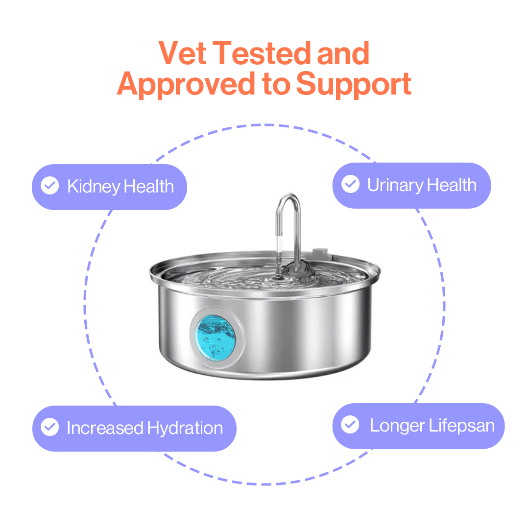 Hey Buddy Health and Wellness  Fountain Kit 7.0L