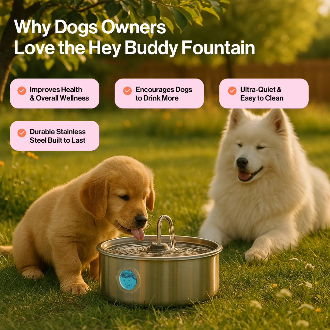 Hey Buddy Health and Wellness  Fountain Kit 7.0L