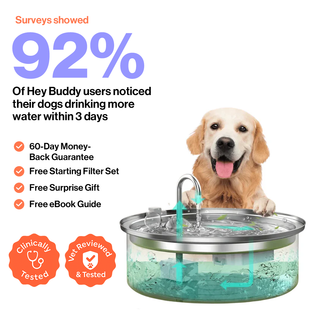 Hey Buddy Health and Wellness  Fountain Kit 7.0L