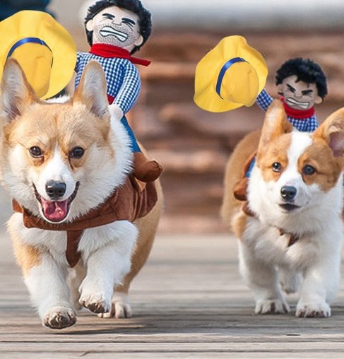 Wild Cowboy Dog Costume