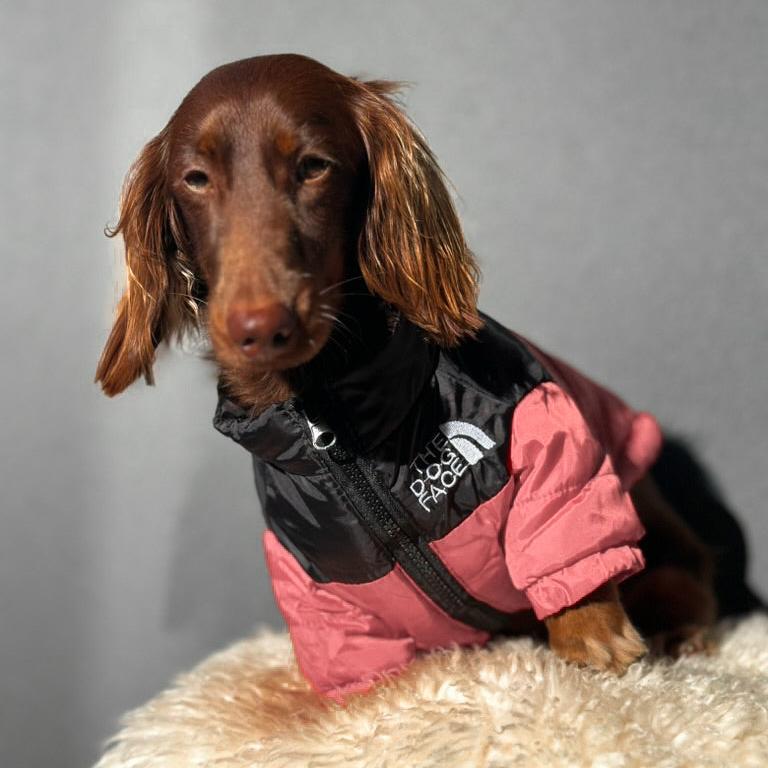 The Dog Face Jacket